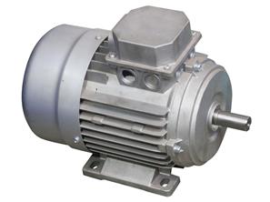 DTTK-0,75-1,1 TRİFAZE MOTOR